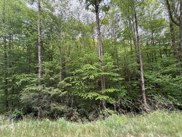 2 lots Warrior Way Road, Topton, NC 28781