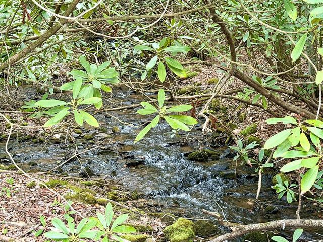 2 lots Warrior Way Road, Topton, NC 28781