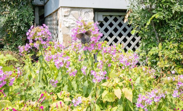 366 Guill Rd, Mount Juliet, TN 37122