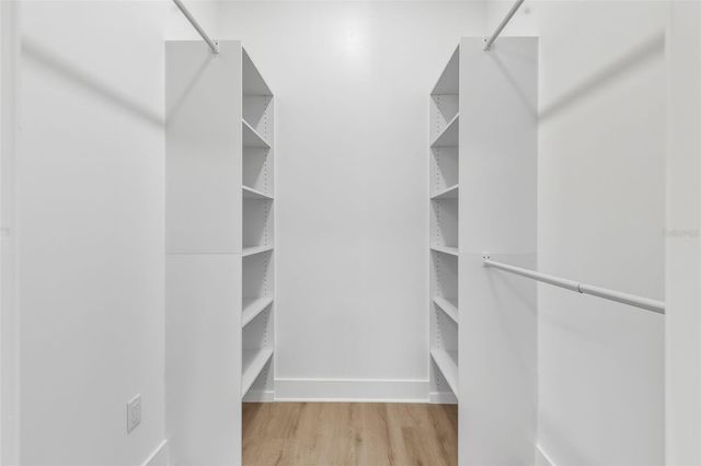 3211 W BALLAST POINT BOULEVARD, Tampa, FL 33611