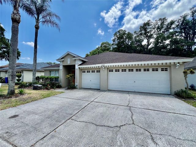 18241 COLLRIDGE DRIVE, Tampa, FL 33647