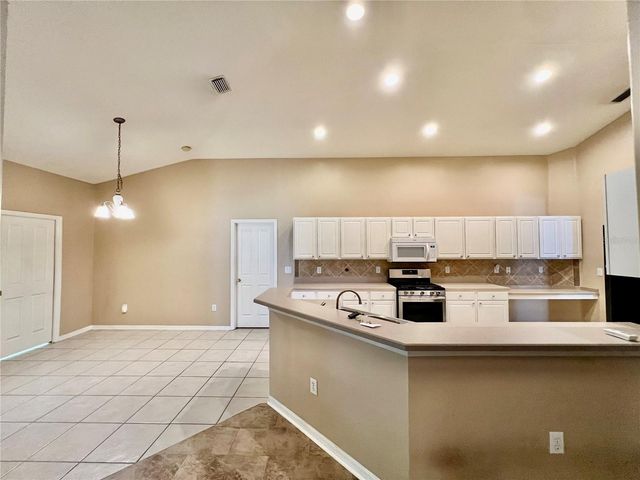 18241 COLLRIDGE DRIVE, Tampa, FL 33647