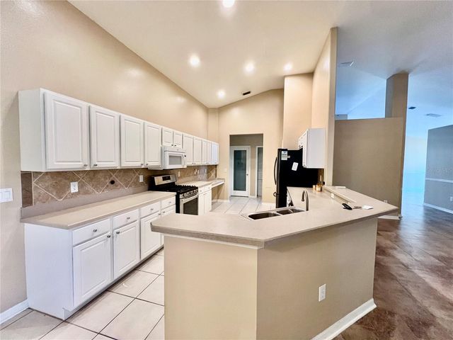 18241 COLLRIDGE DRIVE, Tampa, FL 33647