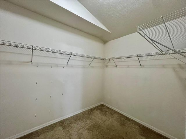 18241 COLLRIDGE DRIVE, Tampa, FL 33647