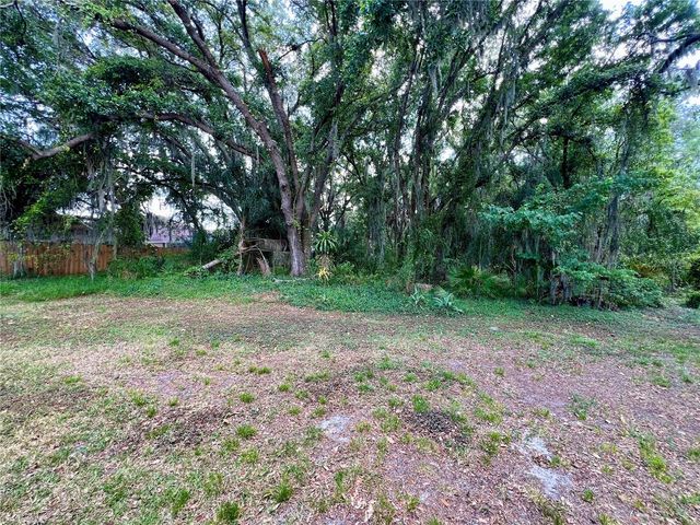 18241 COLLRIDGE DRIVE, Tampa, FL 33647