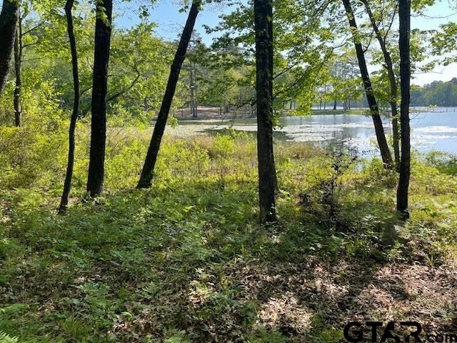 211 County Road 4555, Winnsboro, TX 75494