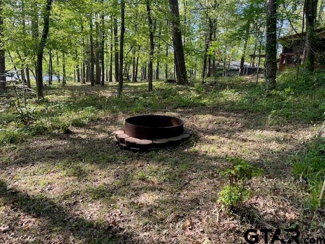 211 County Road 4555, Winnsboro, TX 75494