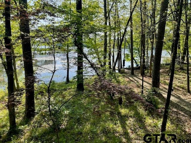 211 County Road 4555, Winnsboro, TX 75494