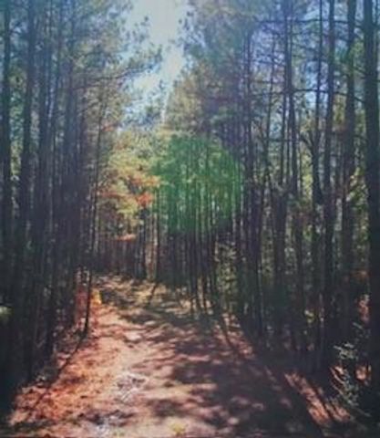 42022 Lajitas Way, Montgomery, TX 77316