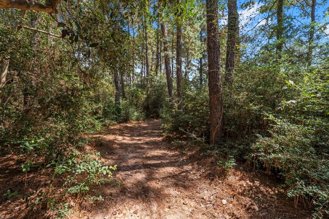 1534 Virgie Community Road, Magnolia, TX 77354