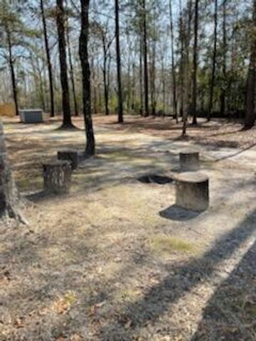 5976 Pleasant Grove Road, Walterboro, SC 29488