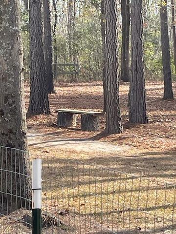 5976 Pleasant Grove Road, Walterboro, SC 29488