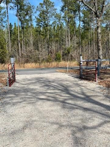 5976 Pleasant Grove Road, Walterboro, SC 29488