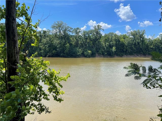 195 Riverview Beach Rd, Moundville, AL 35474
