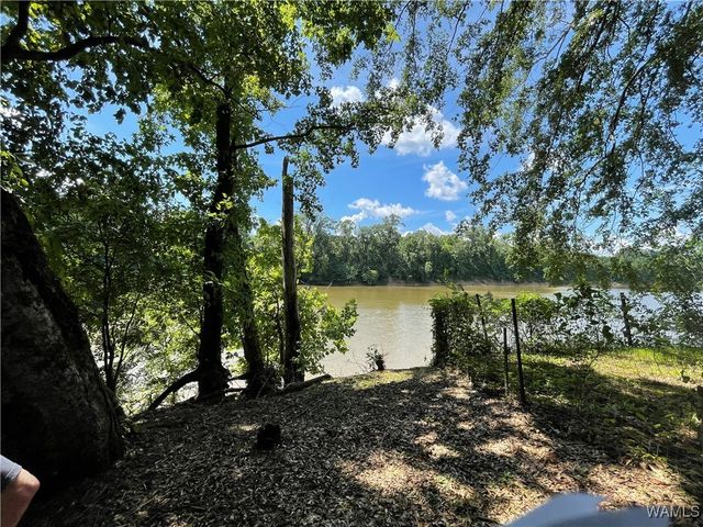 195 Riverview Beach Rd, Moundville, AL 35474