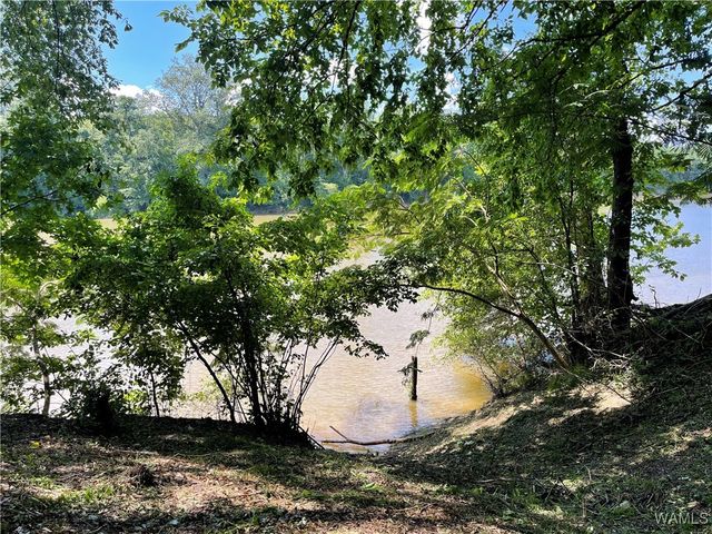 195 Riverview Beach Rd, Moundville, AL 35474