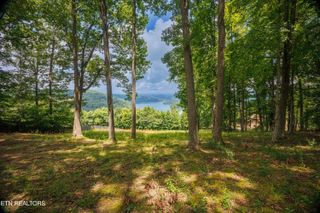 Spinnaker Drive, Andersonville, TN 37705