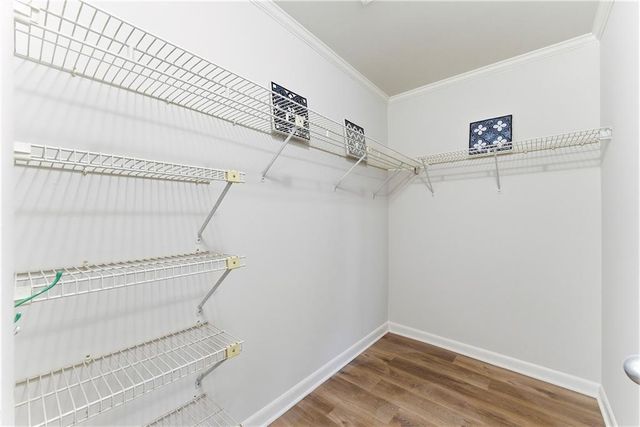 56 Finch NE Trail, Atlanta, GA 30308