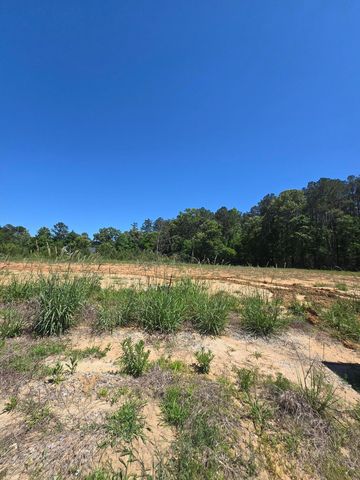 1212 Carriage Wood Circle, Ridgeville, SC 29472
