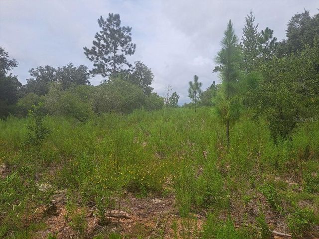 00 SE 125TH COURT, Dunnellon, FL 34431
