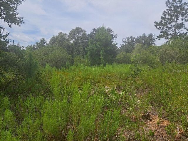 00 SE 125TH COURT, Dunnellon, FL 34431