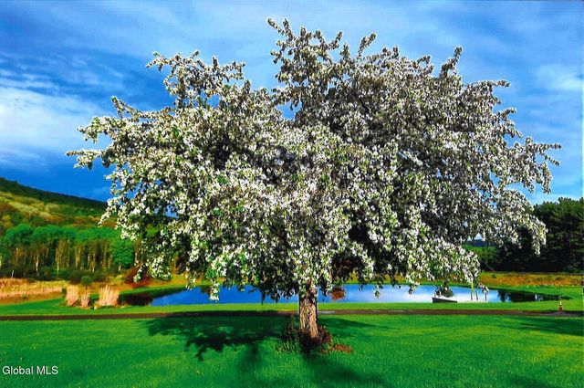 580 Ecker Hollow Road, Middleburgh, NY 12157