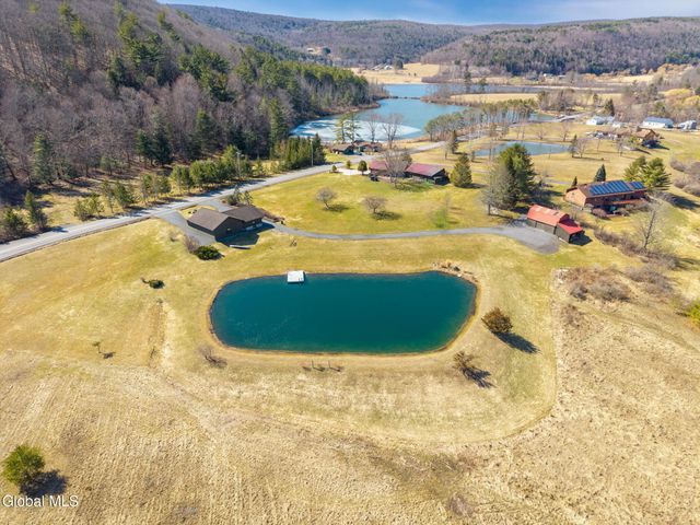 580 Ecker Hollow Road, Middleburgh, NY 12157