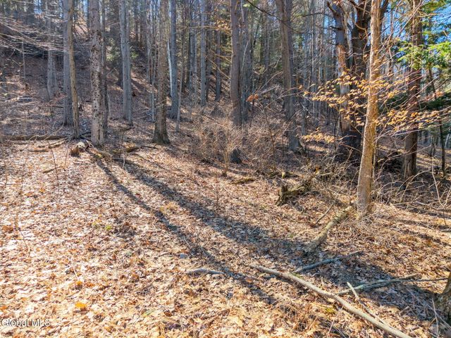 580 Ecker Hollow Road, Middleburgh, NY 12157
