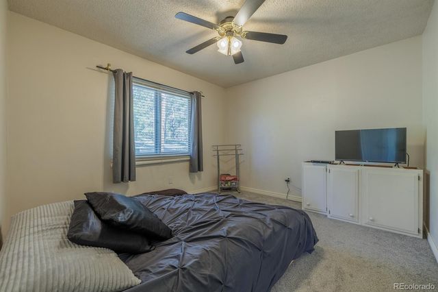 419 W Lake Drive, Divide, CO 80814