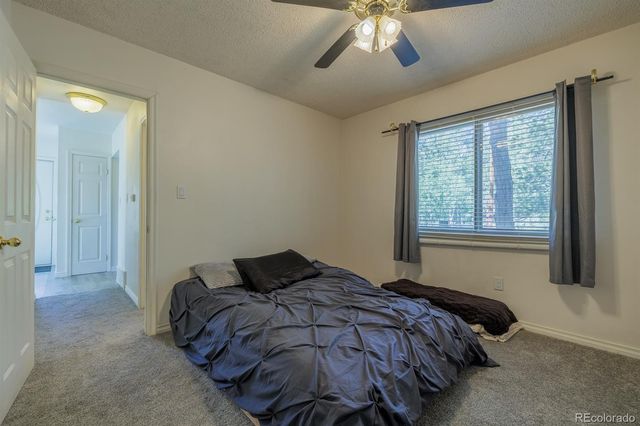 419 W Lake Drive, Divide, CO 80814