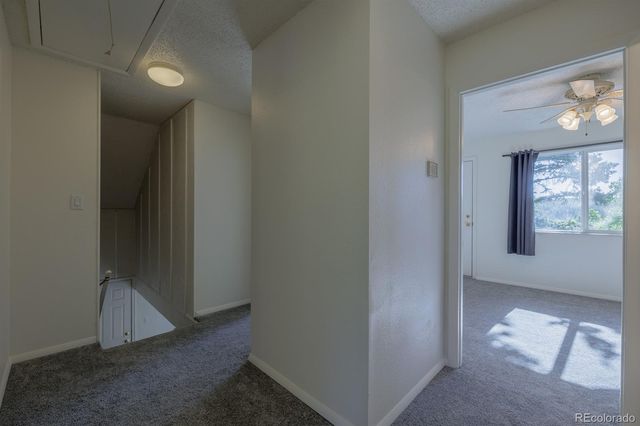 419 W Lake Drive, Divide, CO 80814
