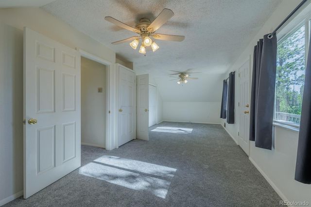 419 W Lake Drive, Divide, CO 80814