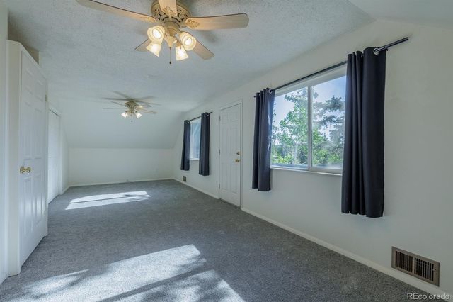 419 W Lake Drive, Divide, CO 80814