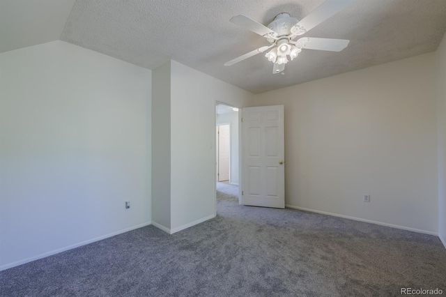 419 W Lake Drive, Divide, CO 80814