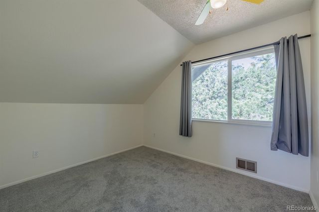 419 W Lake Drive, Divide, CO 80814