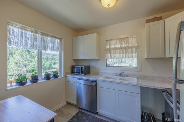 419 W Lake Drive, Divide, CO 80814