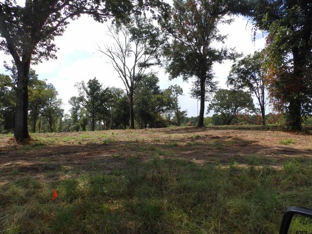 16393 W HWY 31, Tyler, TX 75709