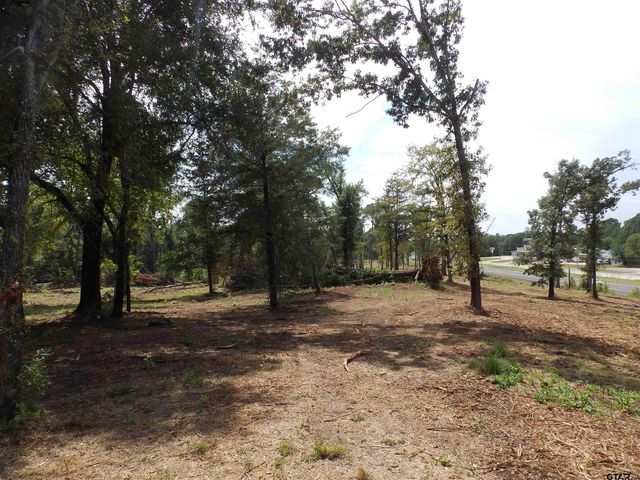 16393 W HWY 31, Tyler, TX 75709