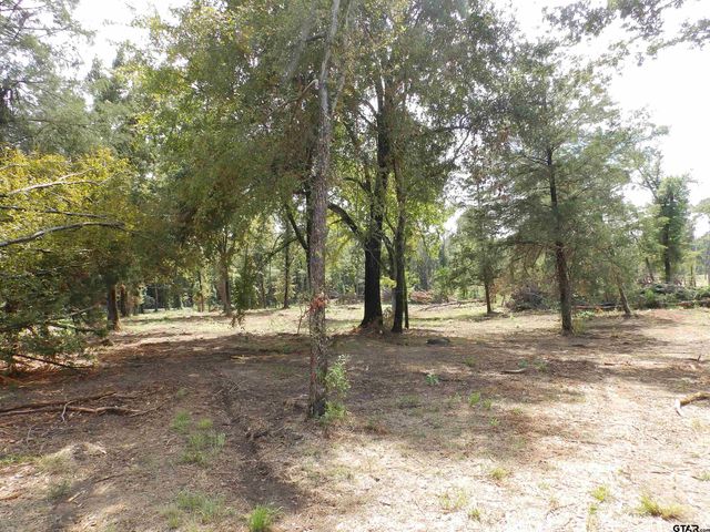 16393 W HWY 31, Tyler, TX 75709