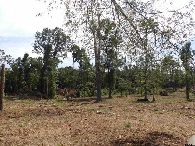 16393 W HWY 31, Tyler, TX 75709