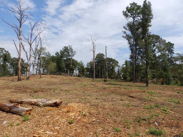 16393 W HWY 31, Tyler, TX 75709