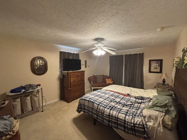 206 Dreaden St, Waverly, TN 37185