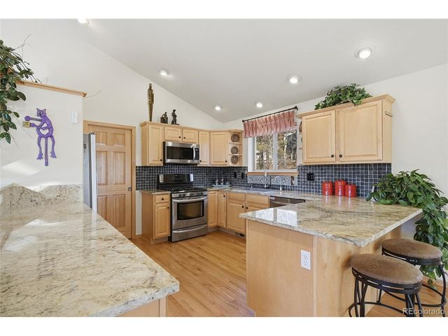 11864 S Stallion Dr, Pine, CO 80470