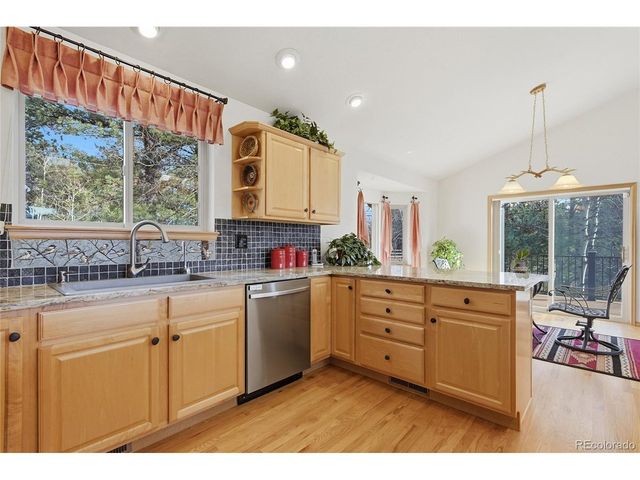 11864 S Stallion Dr, Pine, CO 80470