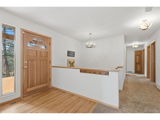 11864 S Stallion Dr, Pine, CO 80470