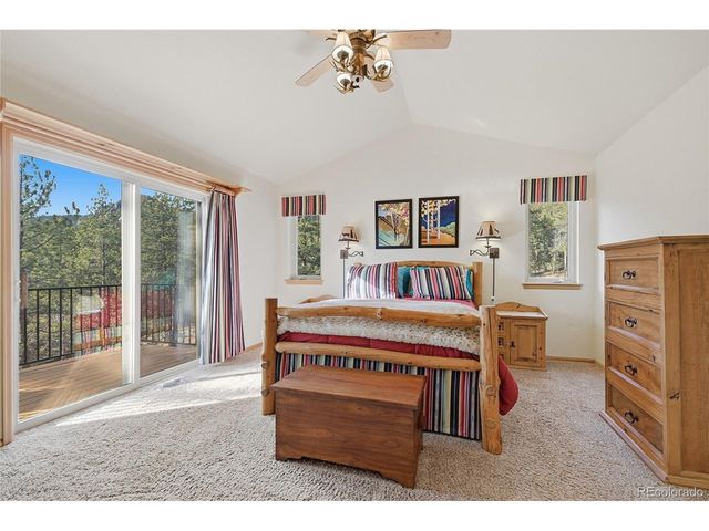 11864 S Stallion Dr, Pine, CO 80470