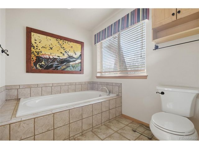 11864 S Stallion Dr, Pine, CO 80470