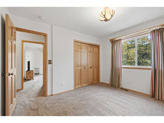 11864 S Stallion Dr, Pine, CO 80470