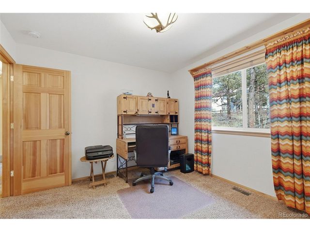 11864 S Stallion Dr, Pine, CO 80470