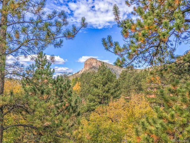 11864 S Stallion Dr, Pine, CO 80470